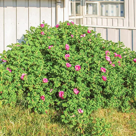 Holiday home Beautiful In Hvide Sande With Wifi Bjerregard